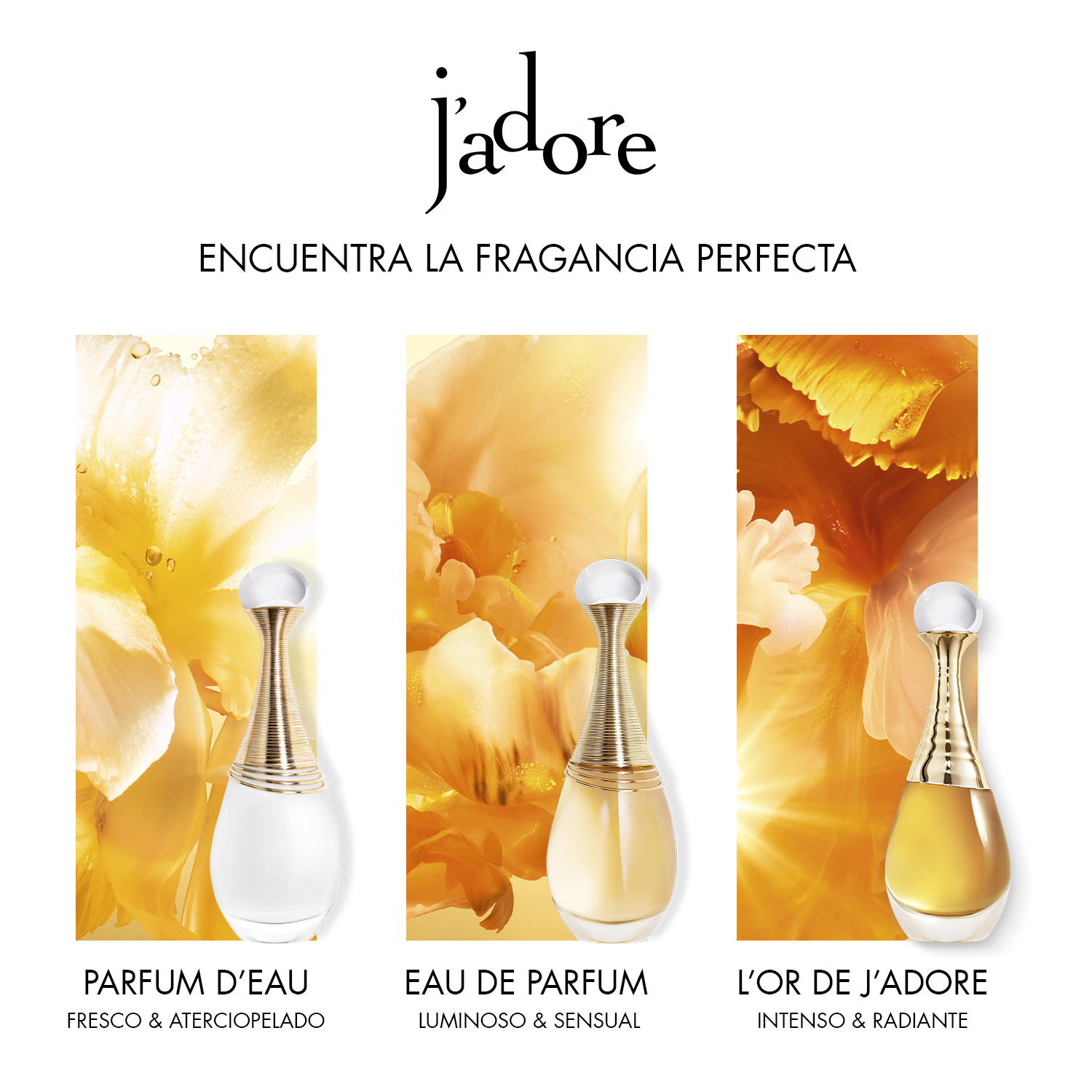 J'ADORE L'OR  PERFUME PARA MUJER DIOR